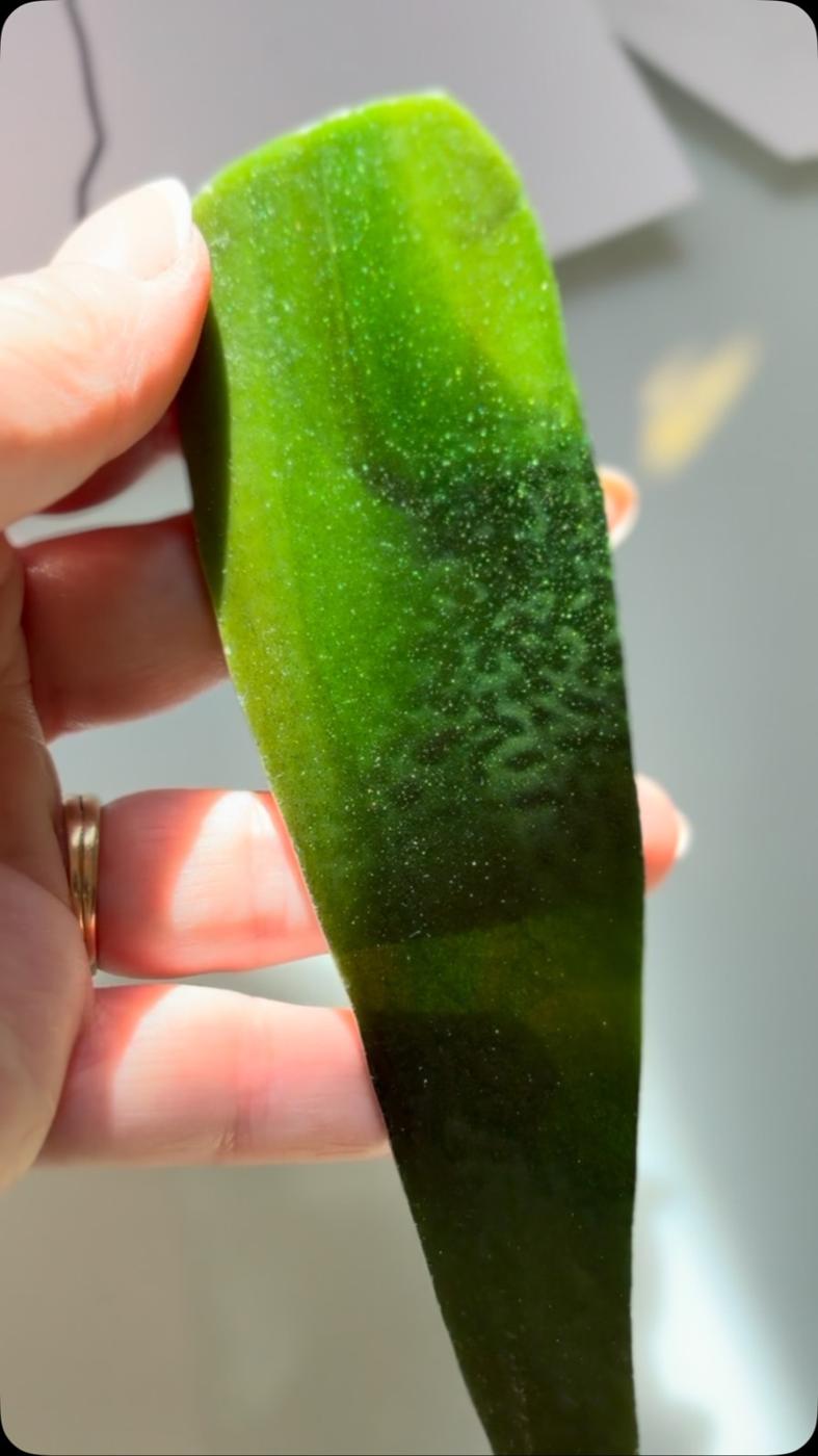 A strip of green aventurine glass held up to a window, sparkling with flakes